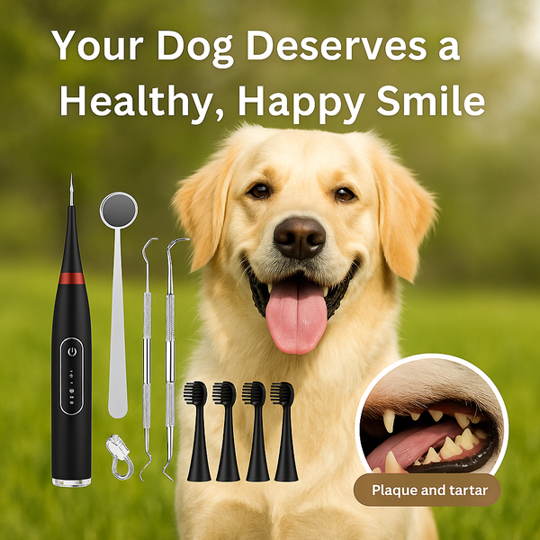 Ultrasonic Dog Dental Cleaning Kit Safe Tartar Remover