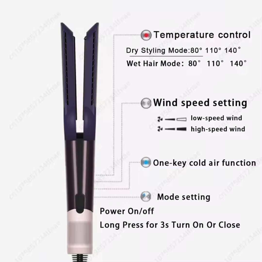 2-in-1 Professional Hair Straightener & Hair Dryer