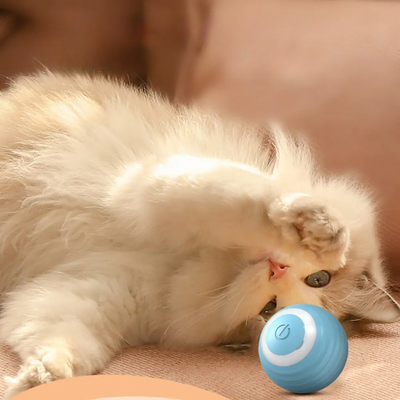 Automatic Rolling Cat Ball