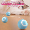 Automatic Rolling Cat Ball