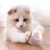 Automatic Rolling Cat Ball