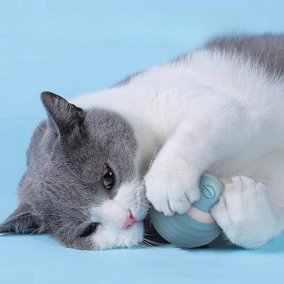 Automatic Rolling Cat Ball