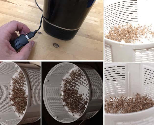 LED Mosquito Killer Lamp USB Powered Mosquito Catcher Zapper