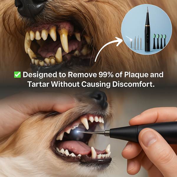 Ultrasonic Dog Dental Cleaning Kit Safe Tartar Remover