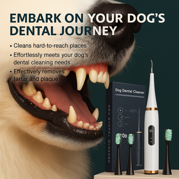 Ultrasonic Dog Dental Cleaning Kit Safe Tartar Remover