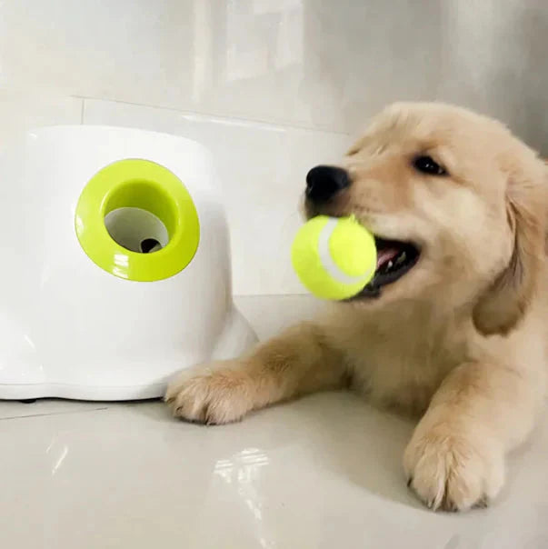 Pet Ball Launcher Dog Toy
