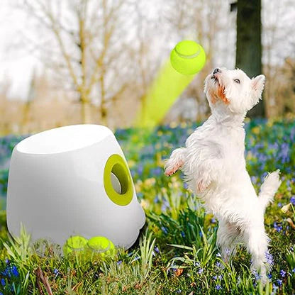 Pet Ball Launcher Dog Toy