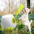 Pet Ball Launcher Dog Toy