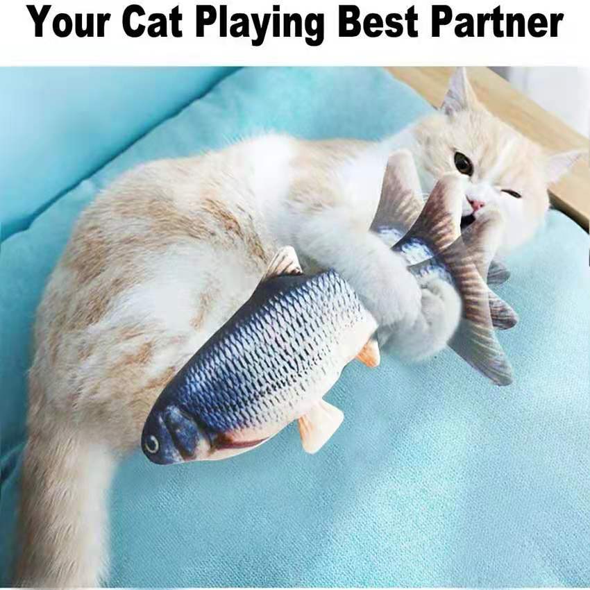 Floppy Fish Interactive Toy