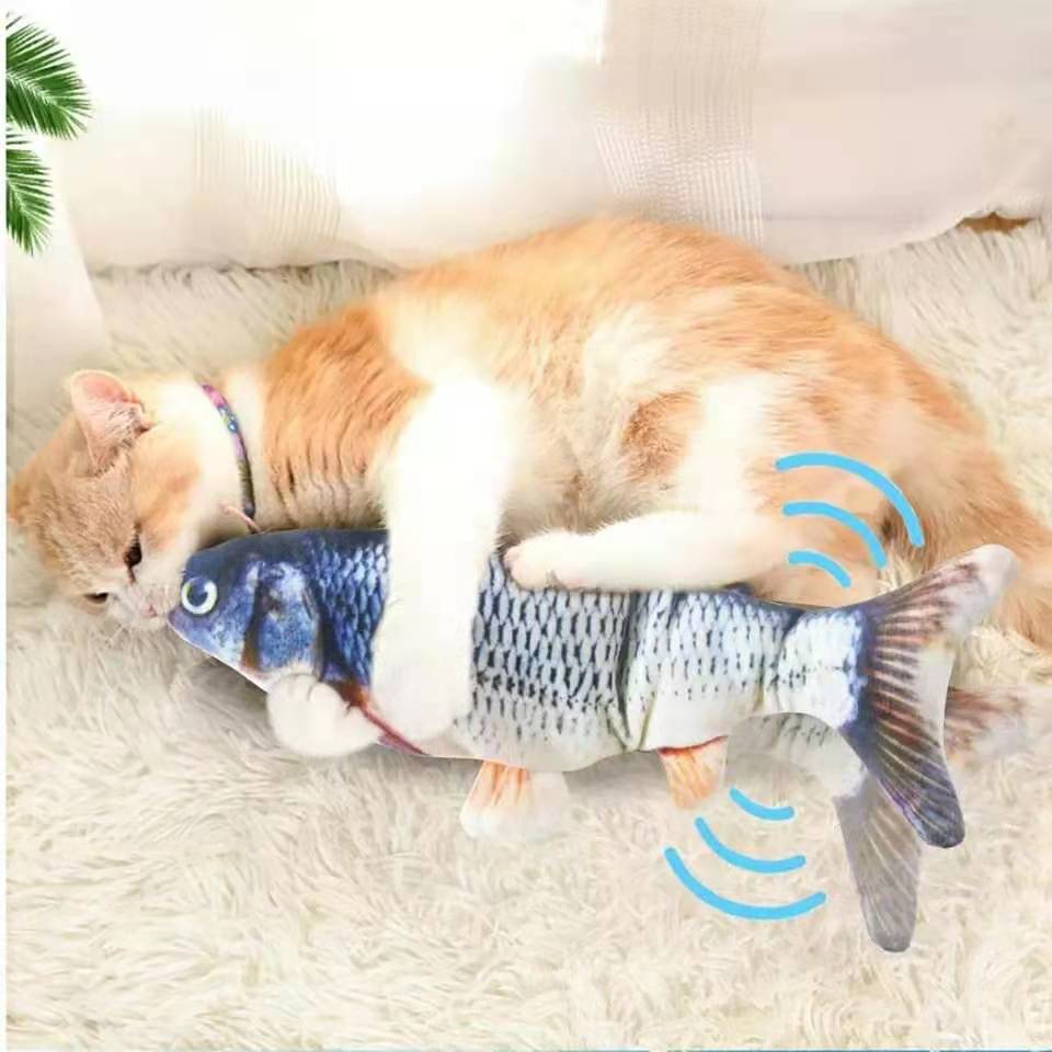 Floppy Fish Interactive Toy